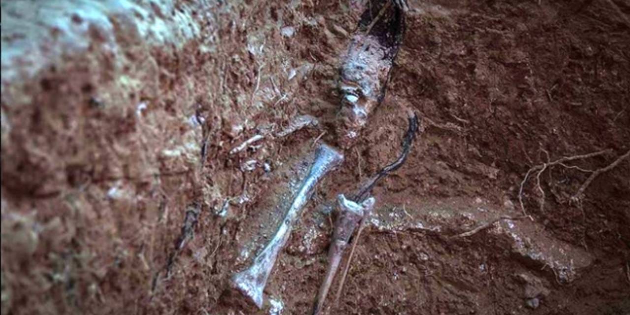 gizli mezarlarda 22 ceset bulundu QUVBJq3r