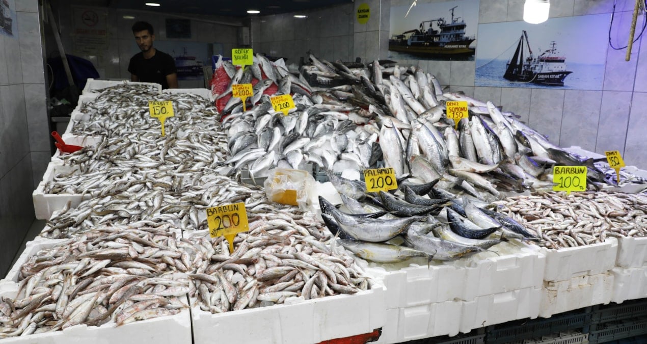 hamsi istavrit barbun ve mezgit bollugu basladi tezgahlarda fiyatlar 100 liradan basliyor Zf4KpPLs