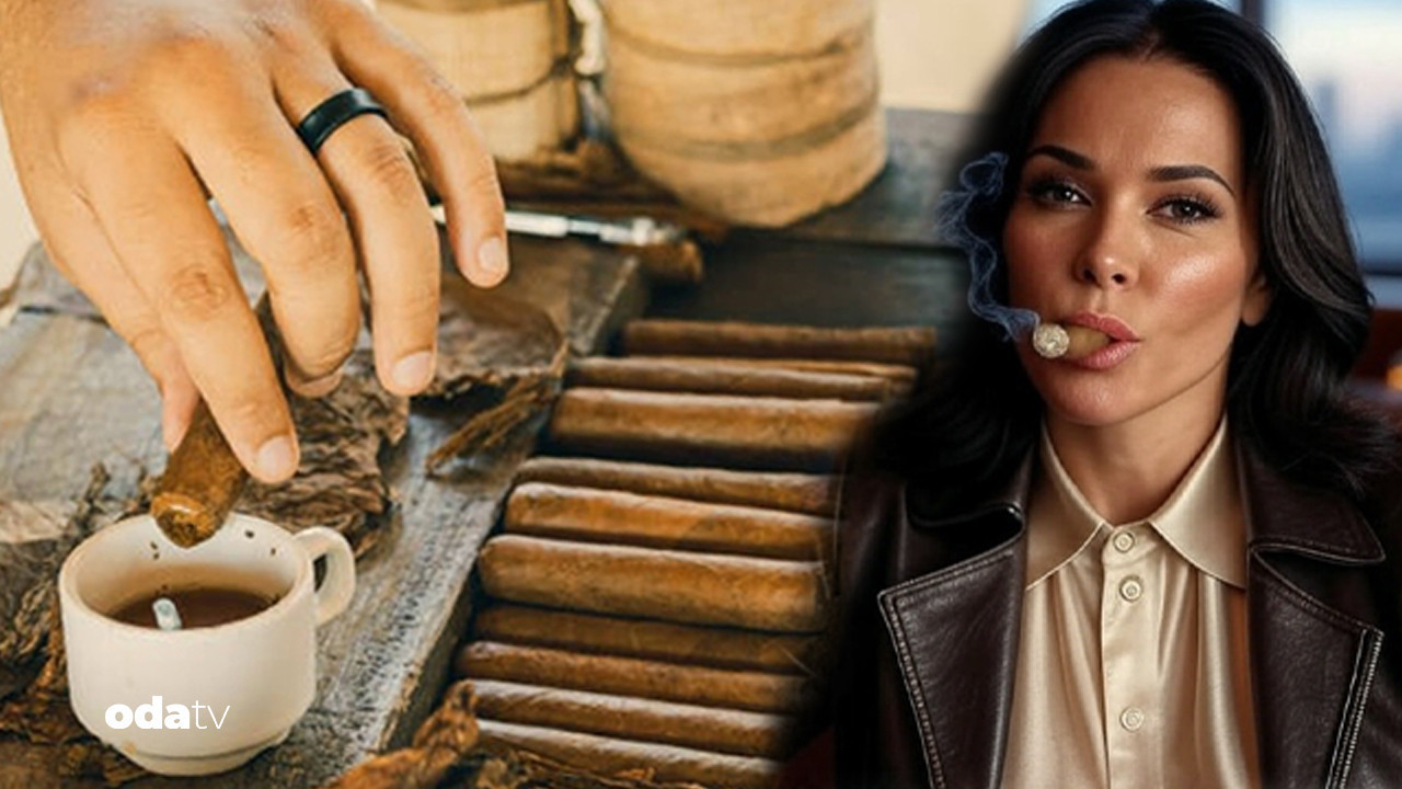 onlar habanosun gizli kahramanlari puro mesleklerinin dunyasi QJDgzqdy